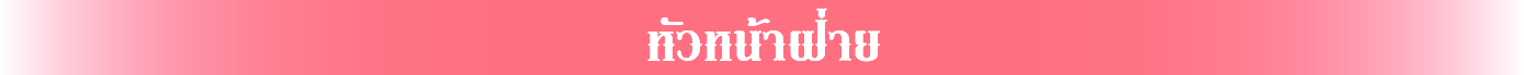 แถบ-02